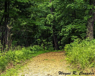 Bernheim_52019_016.jpg