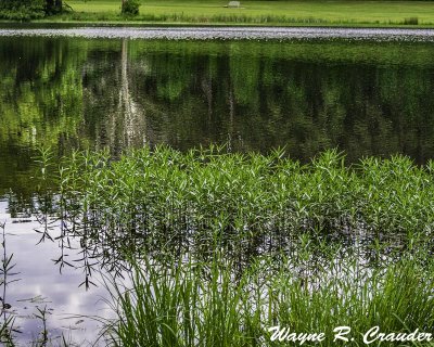 Bernheim_52019_014.jpg