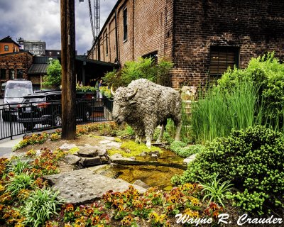 Buffalo_Trace_52019_002.jpg