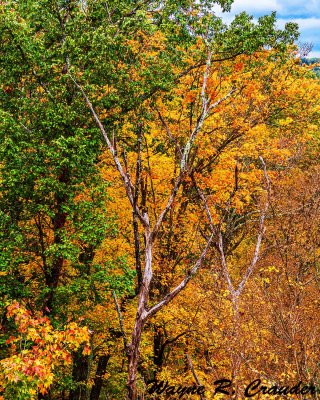 Bernheim_102019_014.jpg