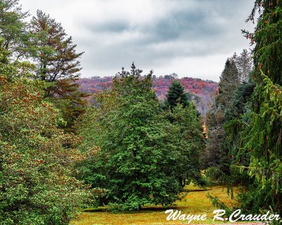 Bernheim_112019_012.jpg