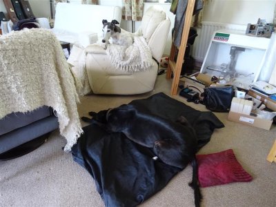 Preston visit - May 2021