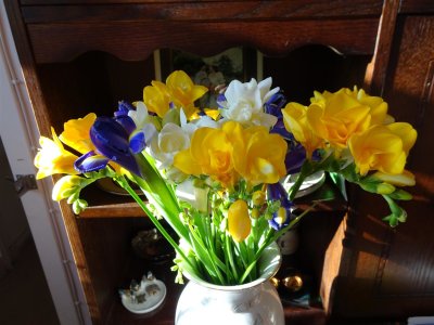 DSC00067 (Large).JPG