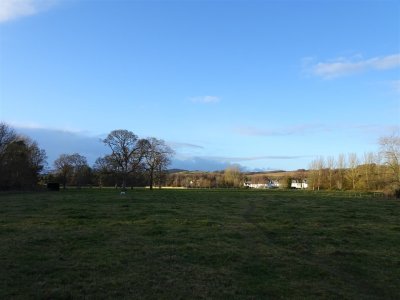 DSC00070 (Large).JPG