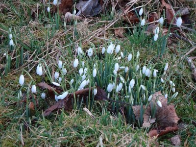 DSC00073 (Large).JPG