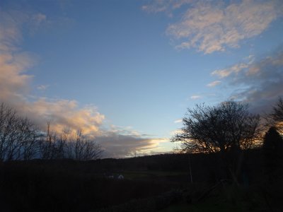 DSC00085 (Large).JPG