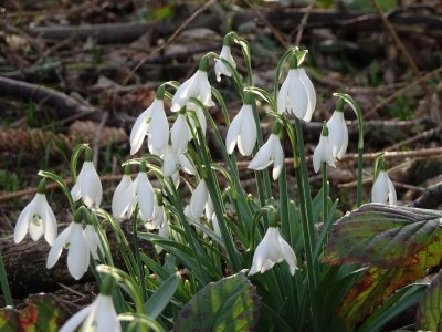 DSC00090 (Large).JPG