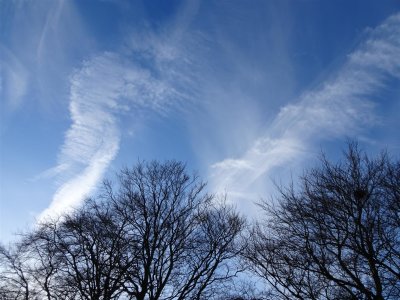 DSC00108 (Large).JPG