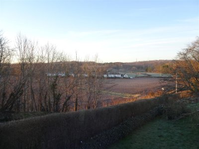 DSC00122 (Large).JPG