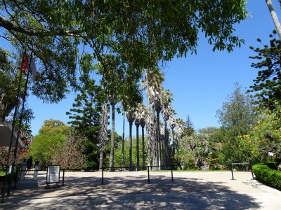 DSC01158  Jardim Botanico Tropico, Belem