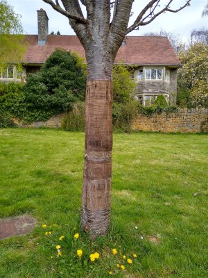 Tyntesfield visit on the way home 11 April 2022