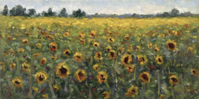 #5 - Sunflower Field (Delta) 12x24.jpg