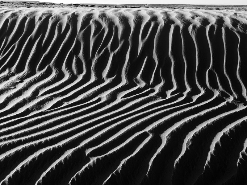 _IMG0242.jpg
