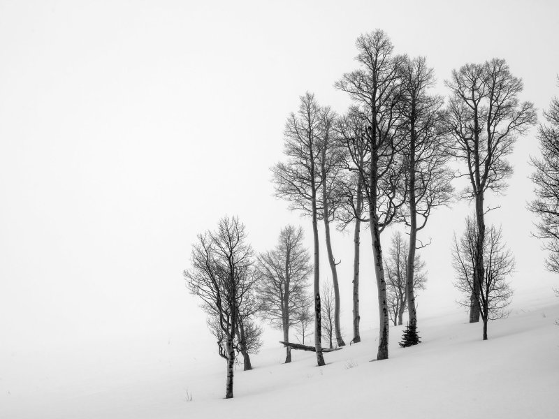 _IMG3214.jpg