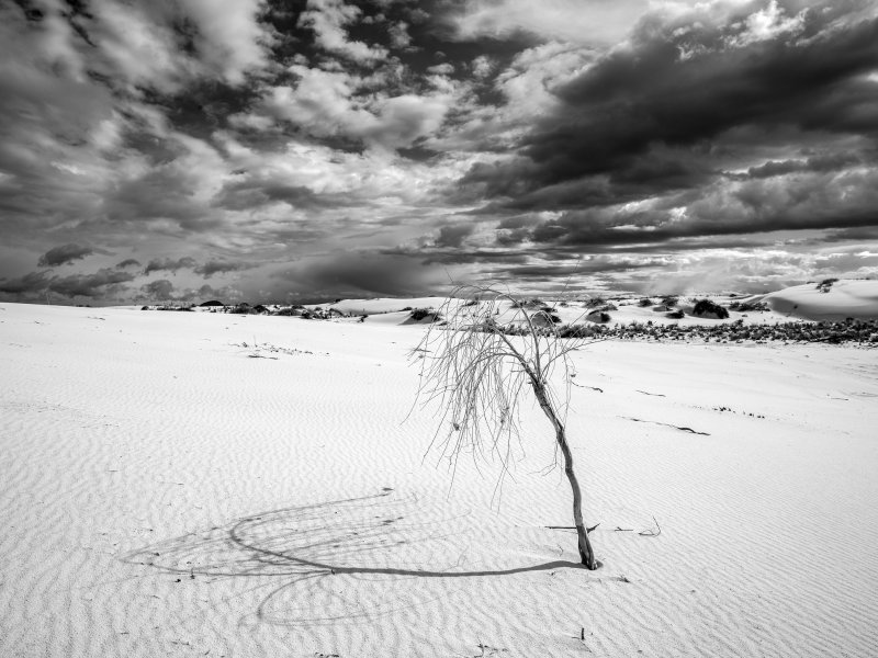 _IMG2508.jpg