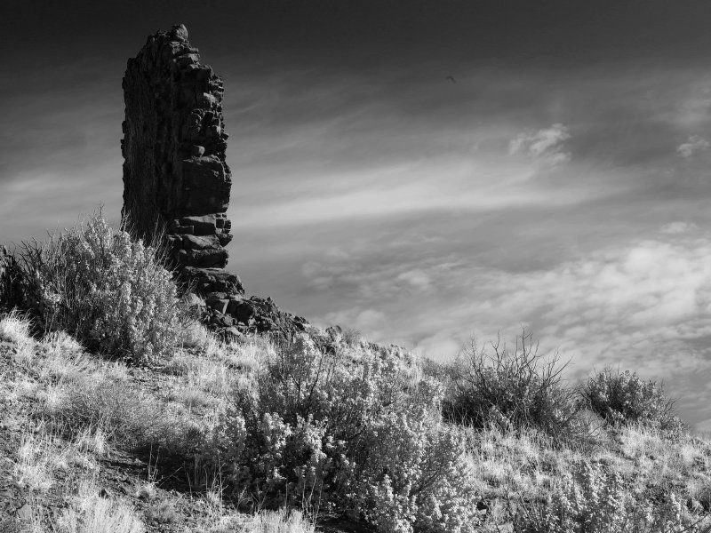 _IMG3884.jpg