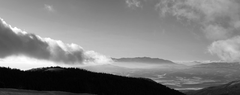 955_56_57bw.jpg