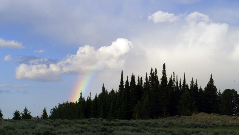 _IMG6015.jpg