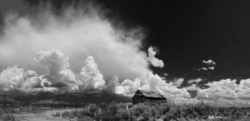 The Old Homestead