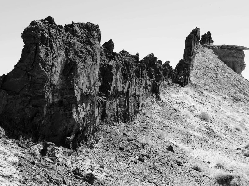_IMG2210.jpg