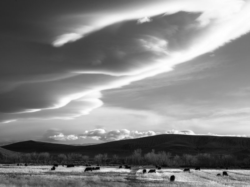 _IMG2426bw.jpg
