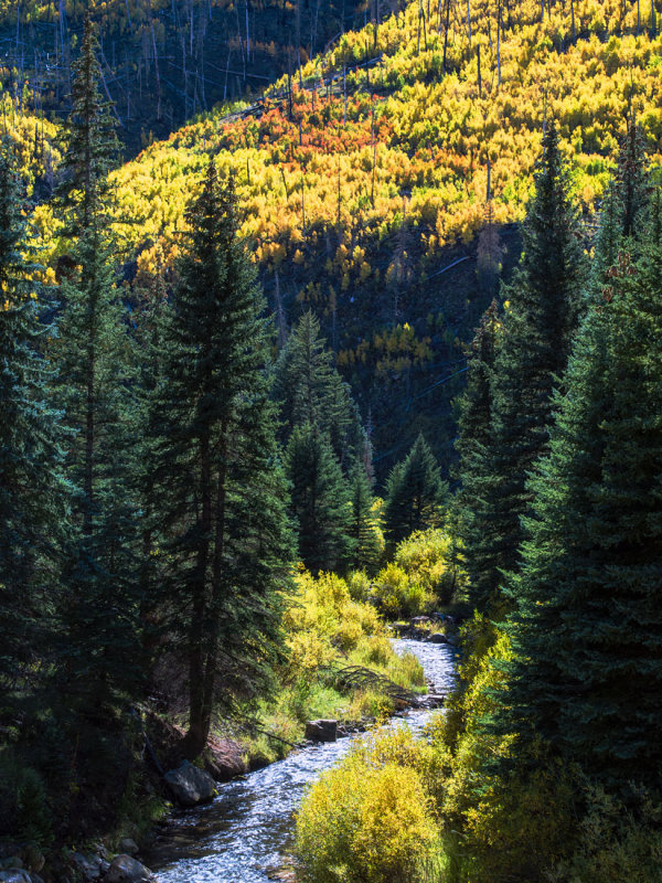 _IMG8129.jpg