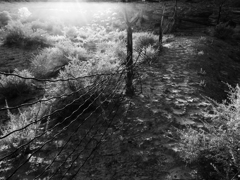 _IMG1795.jpg