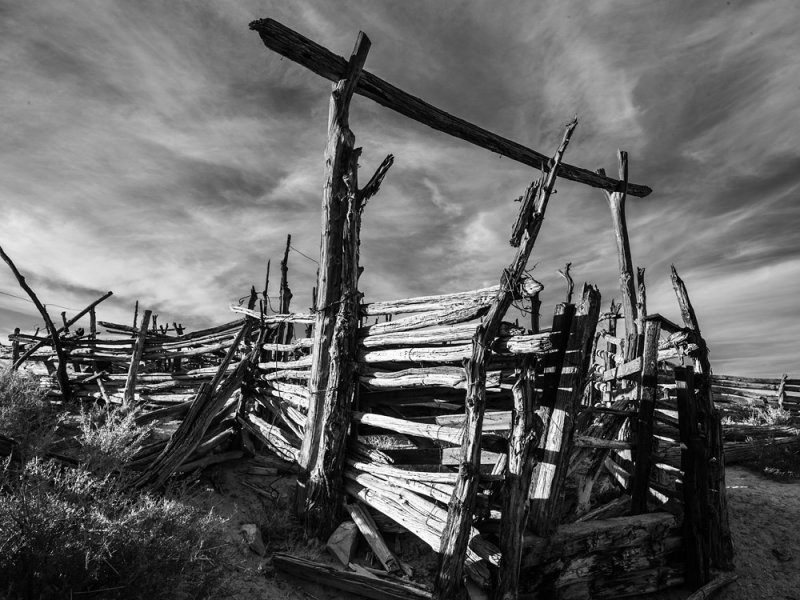 _IMG1787bw.jpg