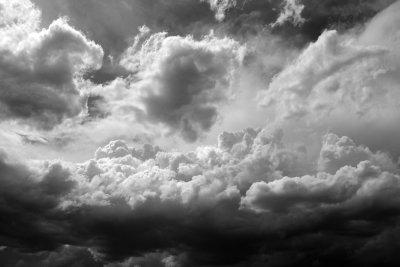 DSCF4813.jpg