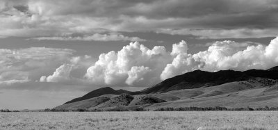_IMG3503.jpg
