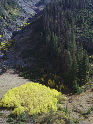 _IMG9107.jpg