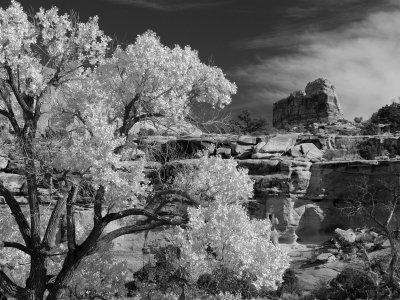 _IMG9840bw.jpg