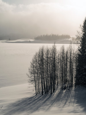 _IMG1074.jpg