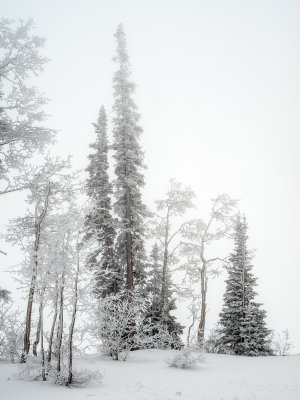 _IMG0872co.jpg