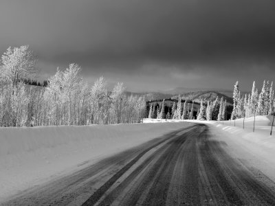 _IMG1100bw.jpg