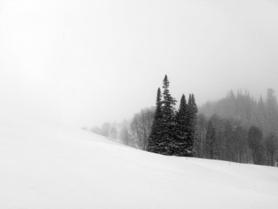_IMG3221.jpg