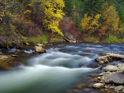 _IMG8919.jpg