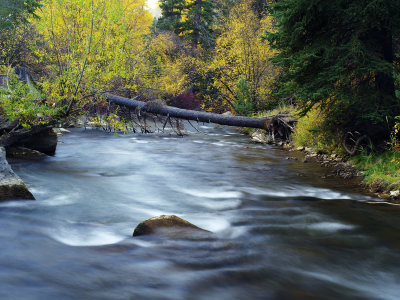 _IMG8924.jpg
