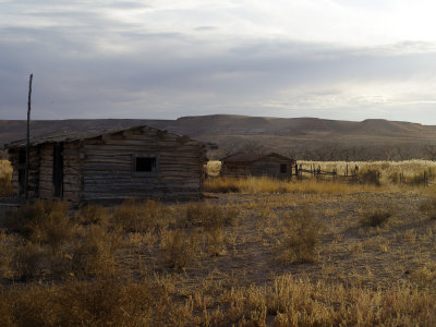 _IMG0782.jpg