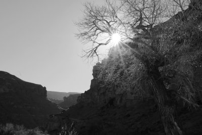 DSCF8652.jpg