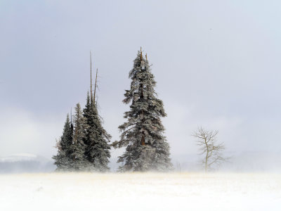 _IMG0835.jpg