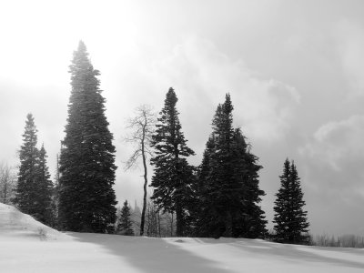 _IMG0844.jpg