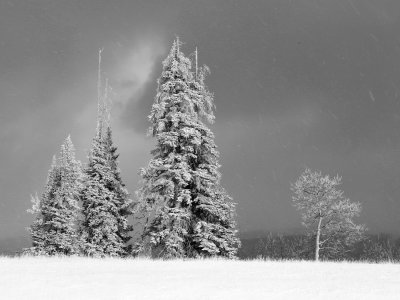 _IMG0879.jpg