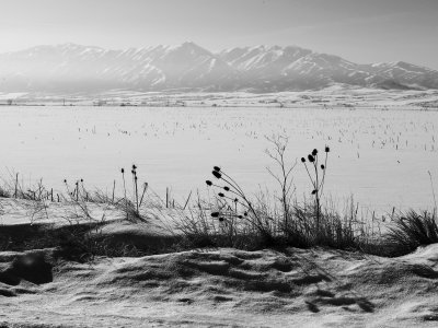 Cache Valley Utah