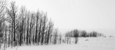 1742_39bw.jpg