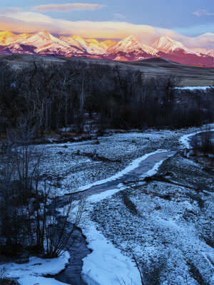 The Crazy's, Montana