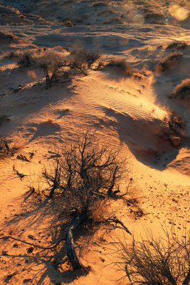 DSCF9877.jpg