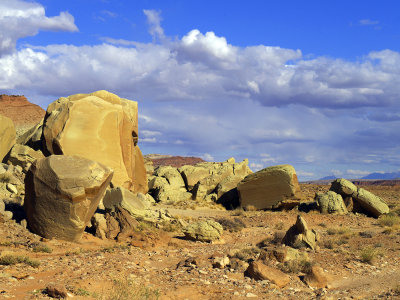 _IMG4013.jpg