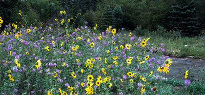 1991_92.jpg