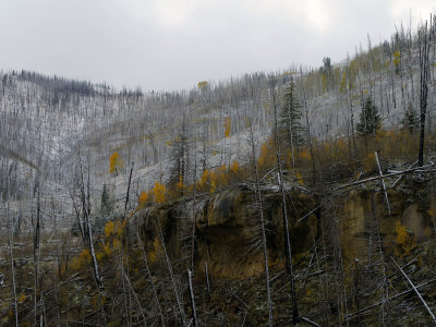 _IMG0516.jpg